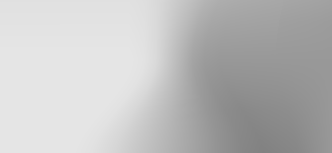 xelerate venture background3